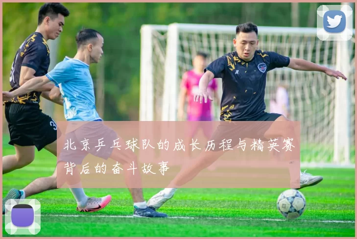 北京乒乓球队的成长历程与精英赛背后的奋斗故事